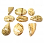 Picture Jasper